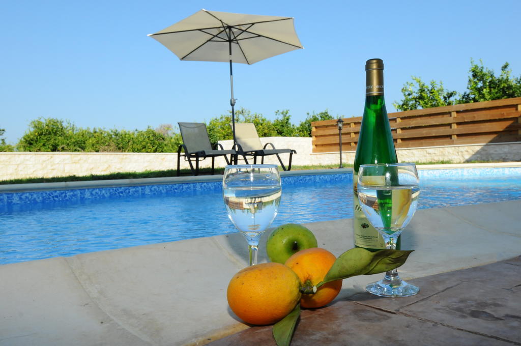 Citrus Grove Villa Argaka Rum bild